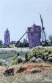 coquelicots du moulin