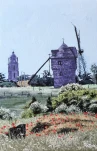 coquelicots du moulin